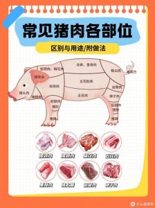 腰柳肉是猪的什么部位_猪后腹肉，细嫩美味，营养丰富
