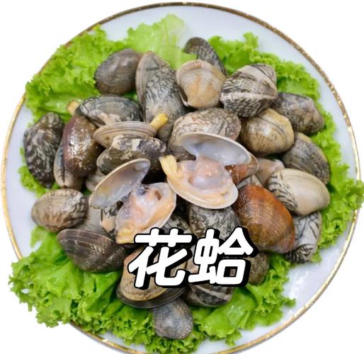 花甲和花蛤是一样的吗_口感营养各不同 花甲和花蛤是一样的吗_口感营养各不同