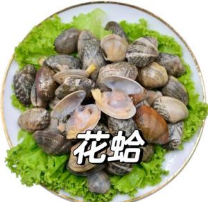 花甲和花蛤是一样的吗_口感营养各不同