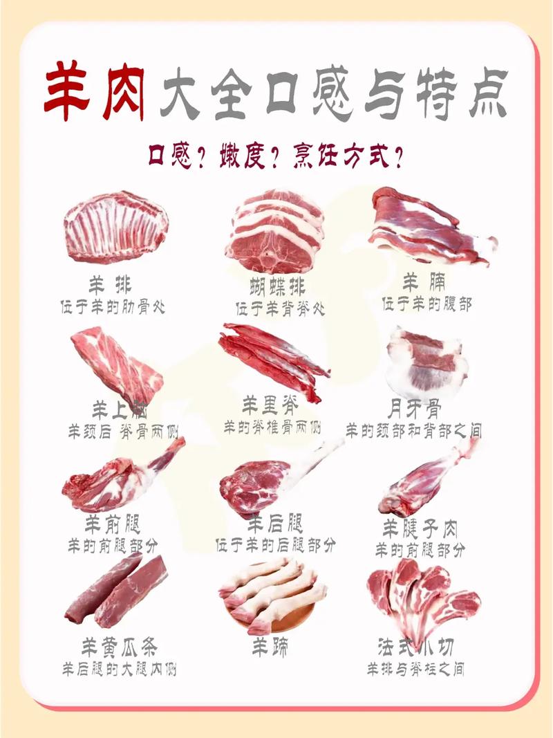 烤羊肉的做法_家常烤羊肉，腌烤技巧全掌握