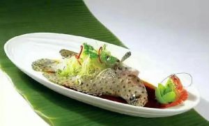 家常裸斑鱼做法大全_烤蒸红烧裸斑鱼，鲜美少刺，做法多样