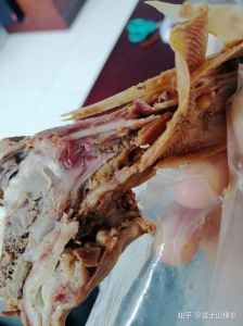 鸭头的毛毛怎么清理_冷冻鸭头去毛方法多