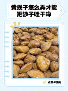 花蛤一分钟吐沙_活蛤蜊吐沙妙招，美味无沙吃蛤蜊！