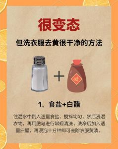 桔子水弄衣服上怎么去除_去除衣服橘子黄渍，试试白醋食盐牙膏！