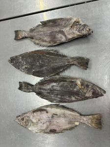 小比目鱼的家常做法_比目鱼家常做法，红烧清蒸美味多