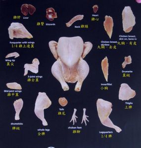鸡盹是鸡装屎的部位吗_鸡胗不是装屎，是磨食小能手