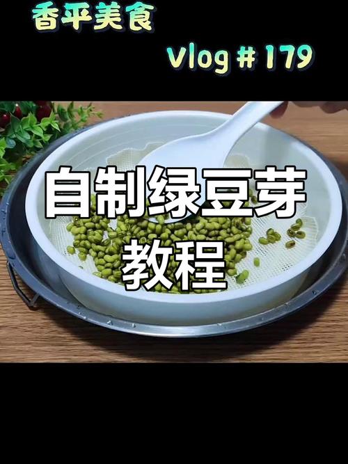 【食材教程】详细视频教你如何将豆子揉出,掌握制作技巧与步骤 【食材教程】详细视频教你如何将豆子揉出,掌握制作技巧与步骤
