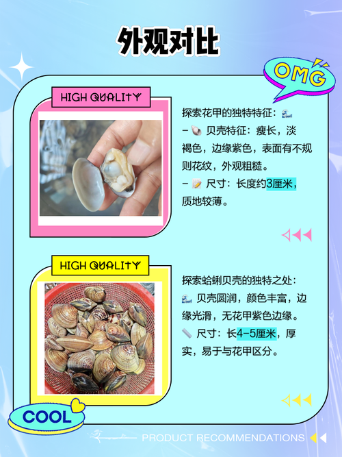 蛤蜊是花甲吗_花甲蛤蜊怎么区分？看花纹选新鲜