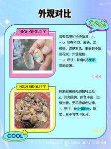 蛤蜊是花甲吗_花甲蛤蜊怎么区分？看花纹选新鲜