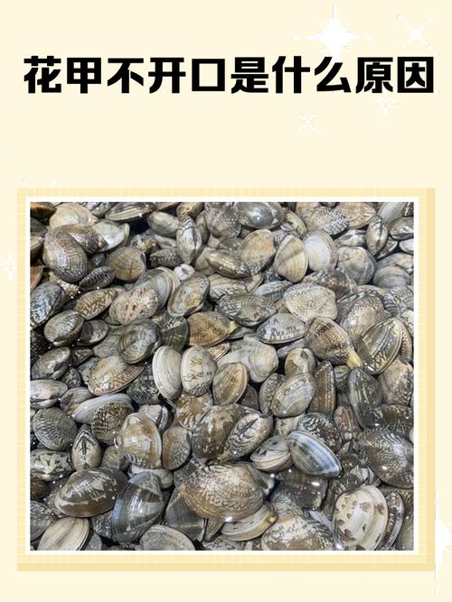 花甲和蛤蜊是不是一回事_花甲和蛤蜊有啥区别？