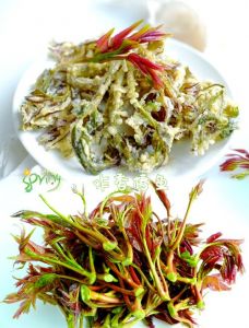 香椿菜的做法_香椿时令菜，做法多样美味可口