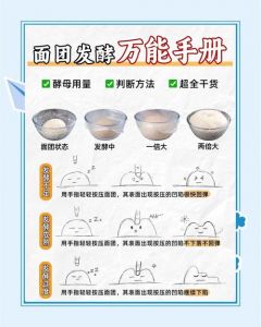 用酵母发面做馒头的步骤_白糖酵母面团发酵蒸馒头教程