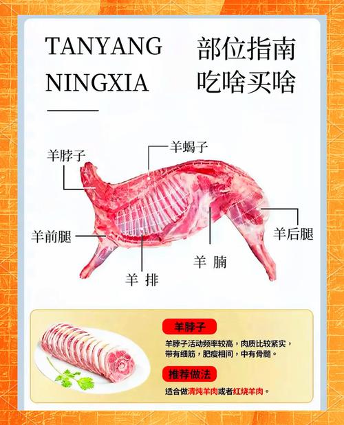 羊各部位名称图解_羊肉各部位做法全攻略