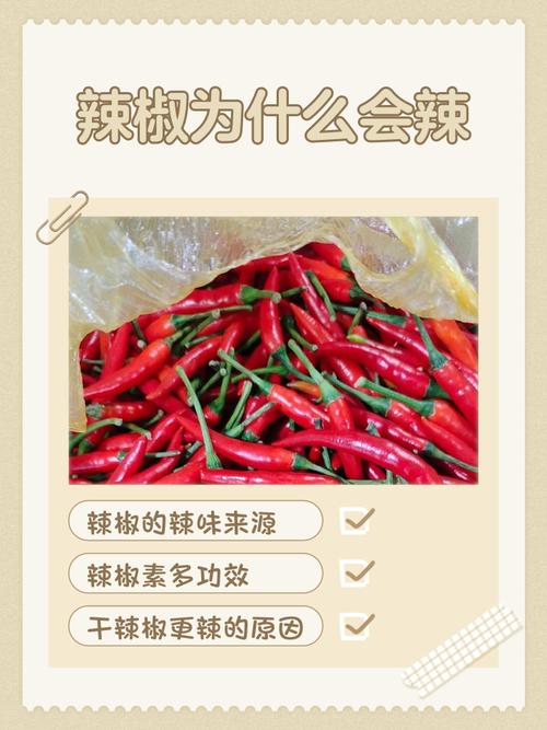 青椒的辣味怎么去除_去除青椒辣味有几种方法