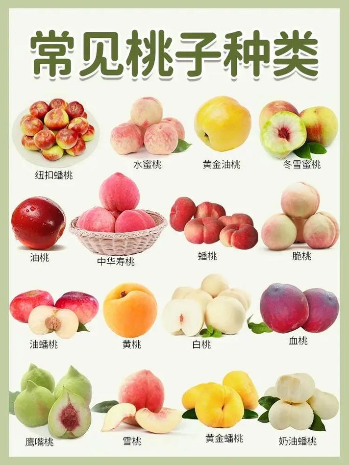 蜜桃产品在一二三产区的区别与食用特点详解