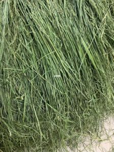 嫩草 M 码与欧洲码的本质区别解析：食材等级与产地的差异探讨