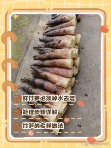 冬笋涩嘴如何处理_盐水小苏打爆炒轻松解决