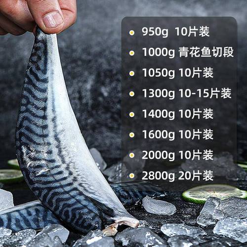 鲭鱼和青花鱼是一种鱼吗_青花鱼和鲭鱼的区别