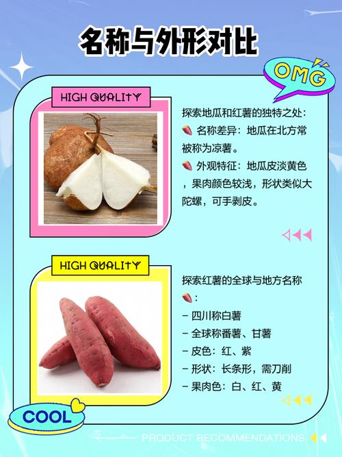 山芋和地瓜是一样的吗_山芋地瓜哪个是糖尿病友的红颜知己？