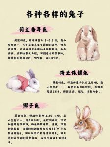 老师的小兔子又软又甜又可爱：详细做法与食材解析