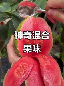 水蜜桃与草莓味道对比：哪一种更好闻、更受喜爱的果香体验