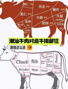 火锅肥牛是牛的哪个部位_肥牛毛肚火锅，鲜嫩多汁美味多