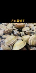 辣炒黄蚬子的做法窍门_盐水泡黄蚬炒香辣酱汁的做法