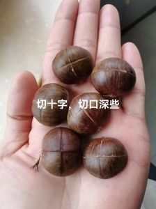 削板栗皮的方法_圆锥板栗沸水泡五分钟，热剥快又好