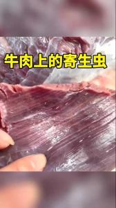 牛肉五分熟有寄生虫吗_全熟七分熟更放心