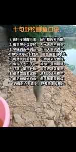 鲫鱼怎么去腥线_鲫鱼去腥线妙招，美味不腥！