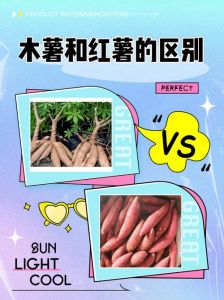 木薯和红薯有什么区别_木薯红薯不是亲戚，处理方式大不同