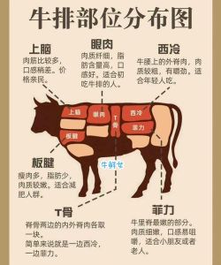 牛三线肉是哪个部位图片_牛三线肉牛腩三筋，不同部位美味多