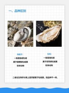 生蚝与牡蛎是一个品种吗_生蚝牡蛎区别大，生吃海鲜看这里！