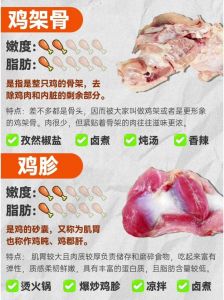 鸡胗部位示意图_鸡心鸡胗最抢手