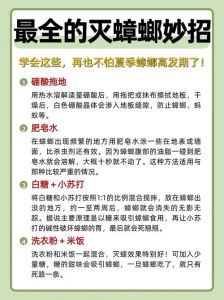 家里的蟑螂怎么样才能清除干净_撒洗衣粉药诱杀保持卫生大蒜水硼砂糖养猫