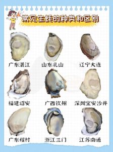 生蚝跟牡蛎一样吗_生蚝牡蛎有啥不同？