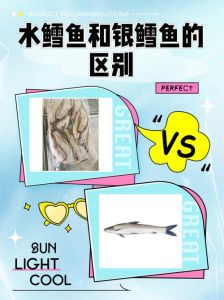 鳕鱼 是北大西洋的鱼吗_营养高，味道好，怎么吃都鲜美