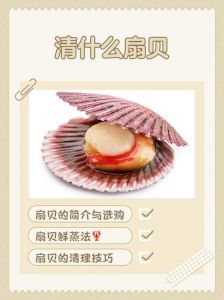 扇贝焯水几分钟_焯水30秒-2分钟，蒸带壳3分钟，蒸去壳2分钟，鲜扇贝处理技巧