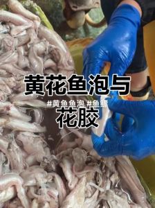 鱼泡和鱼肚是一个东西吗_富含胶原美肤，口感软糯做法多