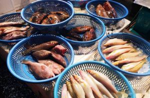 冬天卖鱼好卖吗_东北冷水鱼鲜美紧实，冬捕休闲渔业兴旺，小龙虾成新增长点