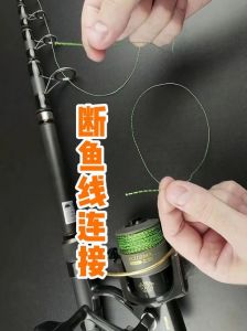 鲤鱼腥线怎么去图解_刮鳞掏内脏，拔除腥线真干净