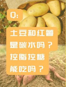 洋芋是红薯吗_洋芋和红薯是两种不同的植物，有显著差异