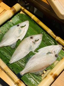 四川的耗儿鱼是海鱼吗_川渝火锅常见海鱼，去头留身更入味