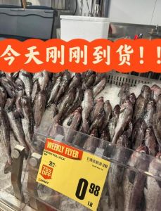 鳕鱼分深海和浅海吗_鳕鱼浅海住，肉质鲜美需保护