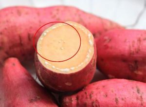 红薯切开后为什么会流白色液体_切开红薯流白汁？营养好新鲜！