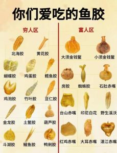 吃鱼泡是不是就是相当于鱼胶_花胶鱼泡有啥区别？