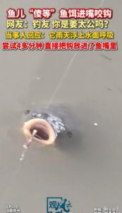 鲤鱼鱼线怎么去除_去鱼线保鱼鲜，肉嫩味更美