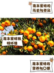 江西的橘子什么时候熟_江西脐橙11-12成熟，南丰蜜橘稍早，柑橘产业发达