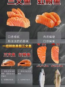 三文鱼各个部位图解_三文鱼腩嫩滑，中段爽口，各有特色