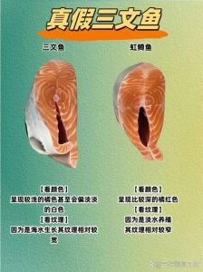 三文鱼大腹和中腹的区别_口感营养大不同